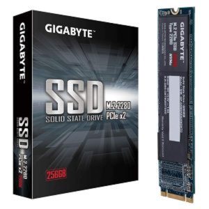 Gigabyte M.2 PCIe 256GB SSD