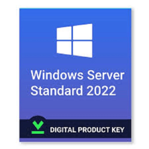 Windows Server 2022 Standard Lifetime Key