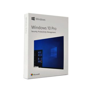Windows 10 Professional