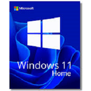 24/7 Online Email Delivery Win 11 Home OEM Key(1 PC) Genuine Original Digital Key Lifetime Win 10 Home Key