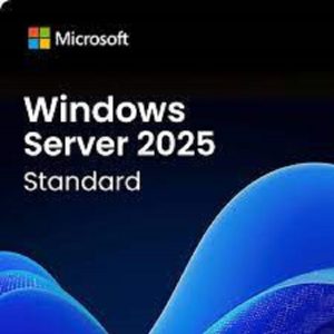 Windows Server 2025 Standard license key