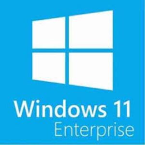 Windows 11 enterprise edition 1pc